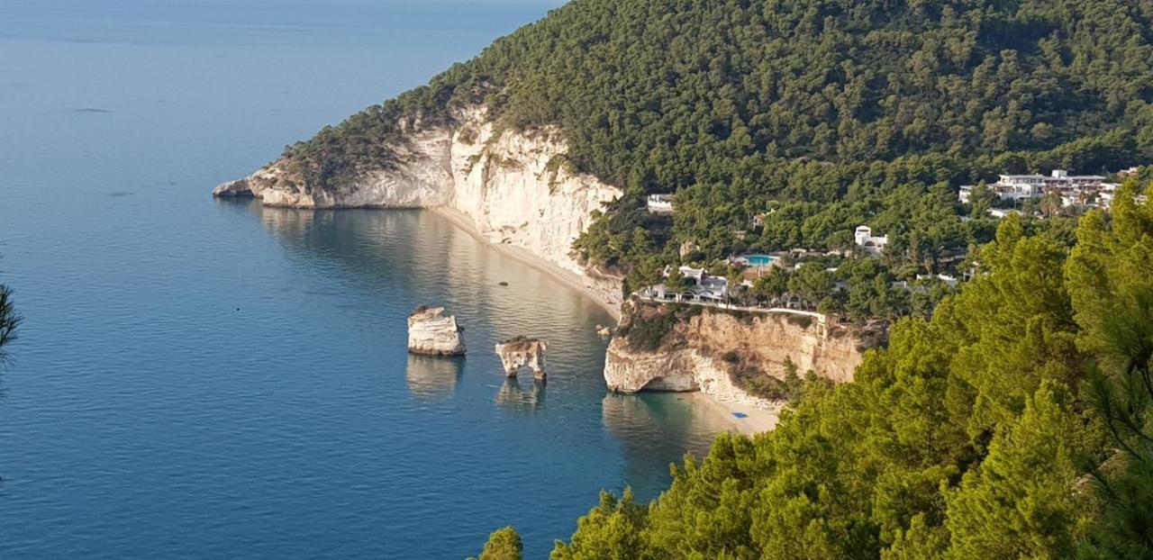 Villa Cala Della Pergola Vieste Luaran gambar